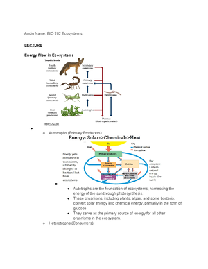 Bio 202 Biomes Notes - Bio 202 Biomes Lecture The Terrestrial Biomes 