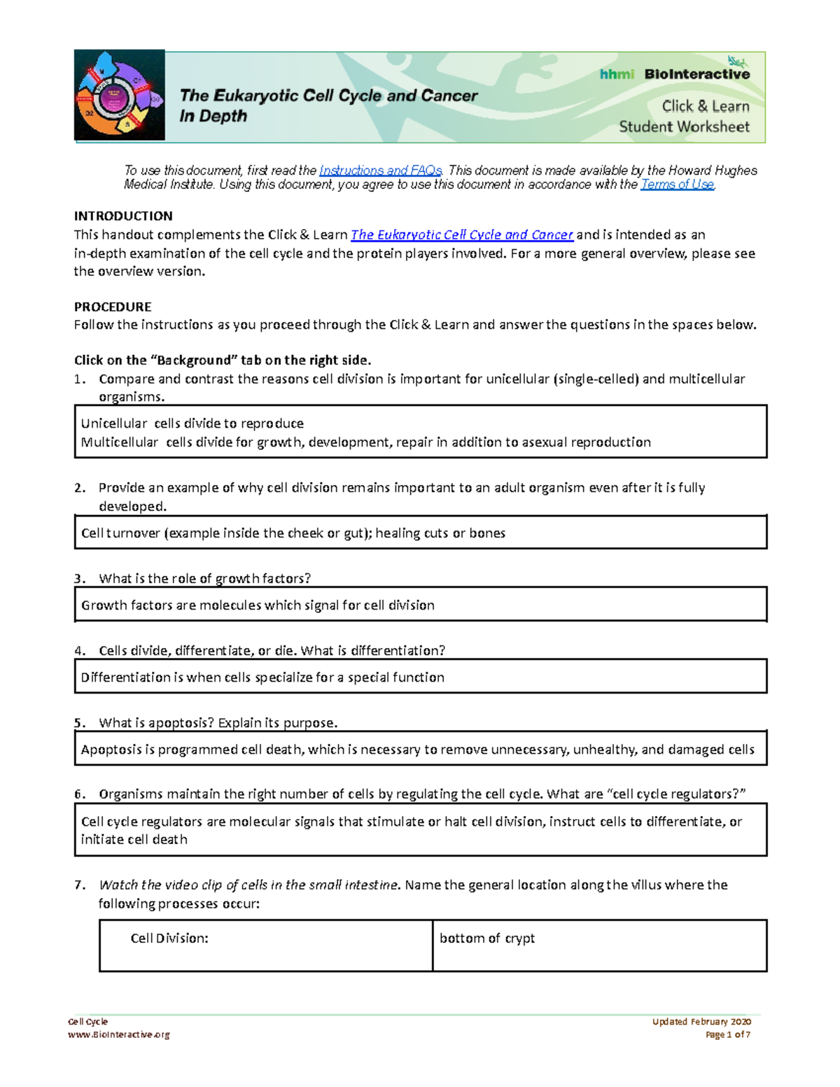 Copy of HHMI Cell Cycle and Cancer - To use this document, first read ...