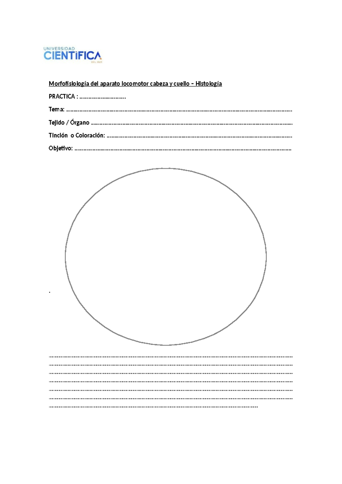 Copia de Formato+para+l%C3%A1minas++histologicas - Morfofisiología del ...