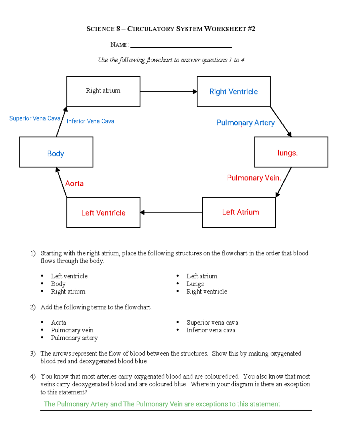 Kami Export - Sthompson 0001 - Circulatory System Worksheet 6 - S ...