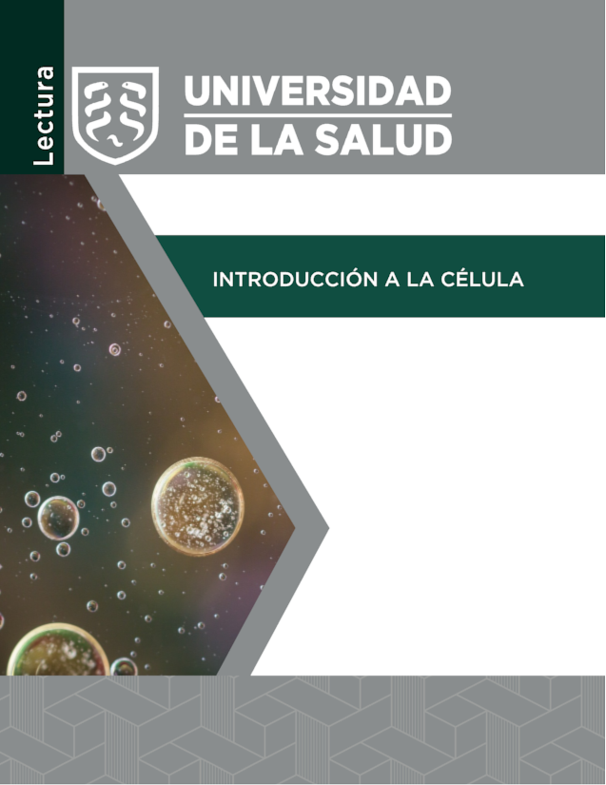 IM S1 L1 Biología Molecular De La Célula - 0A5:".3B @';( 4B=B! ,/) 4B