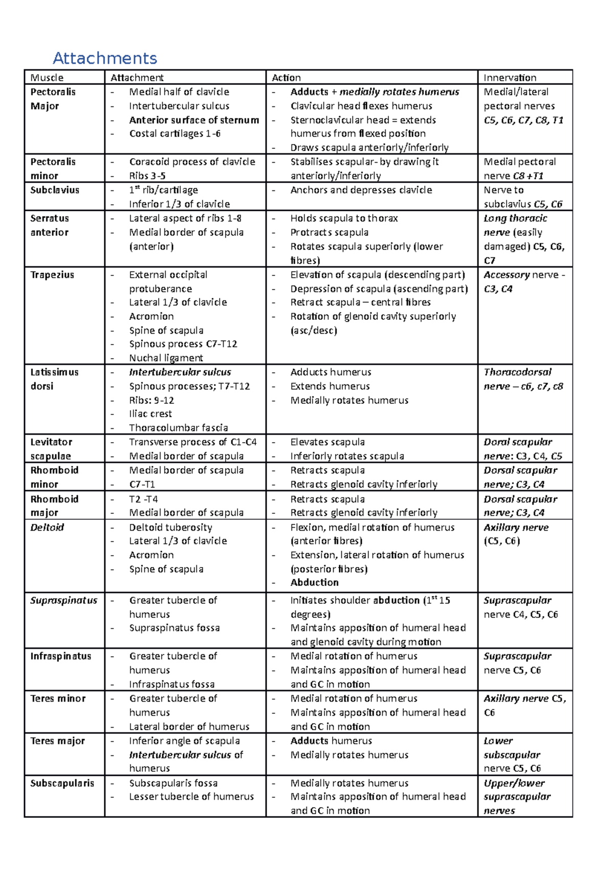 Muscle - attachments, actions, innervation - Attachments Muscle ...