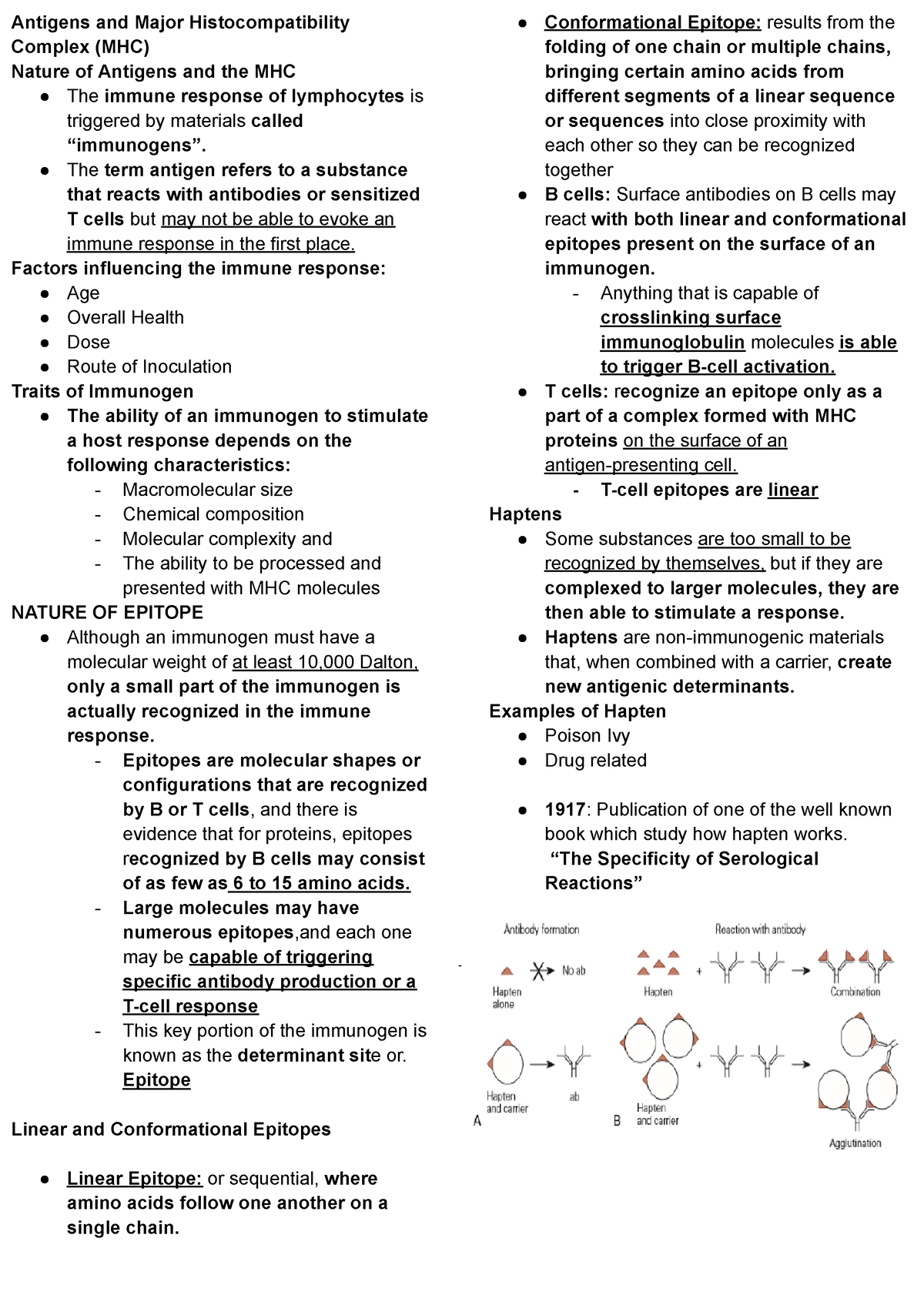 Antigens and Major Histocompatibility Complex (MHC) - Antigens and ...