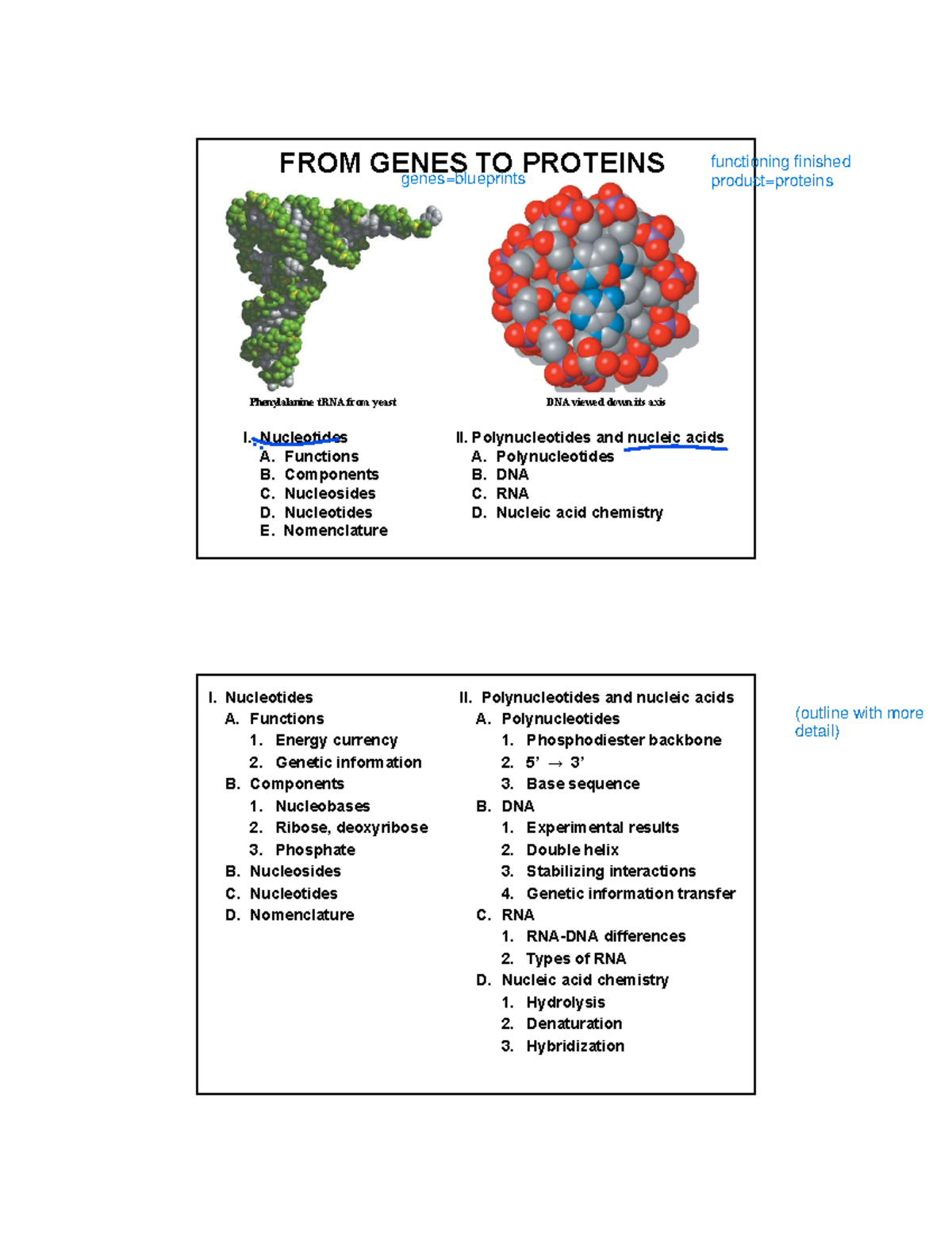 3. Genes to proteins Lecture one FROM GENES TO PROTEINS I