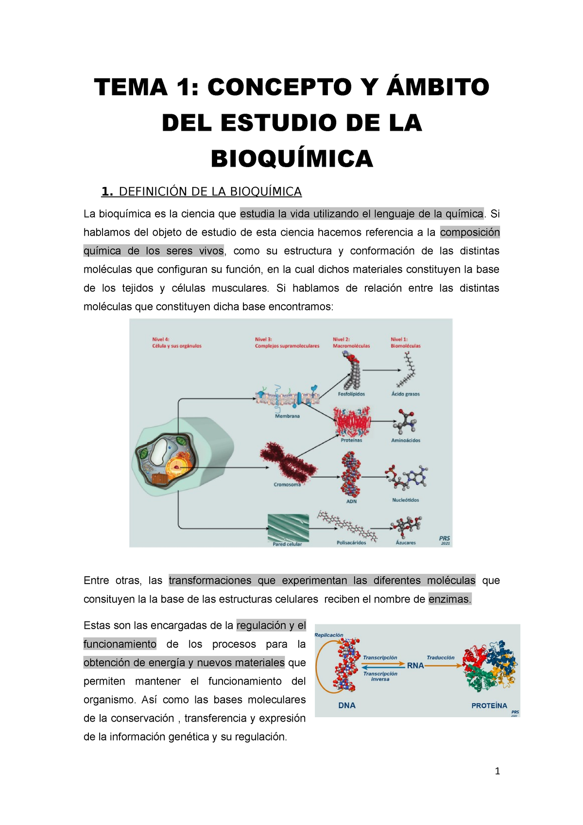 Bioquímica Tema 1 Apuntes Tema 1 Tema 1 Concepto Y Ámbito Del