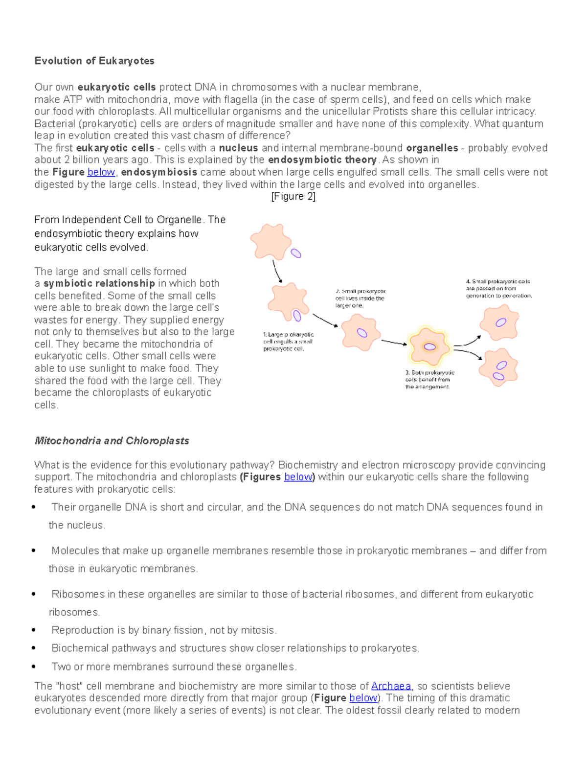 Evolution of Eukaryotes - All multicellular organisms and the ...