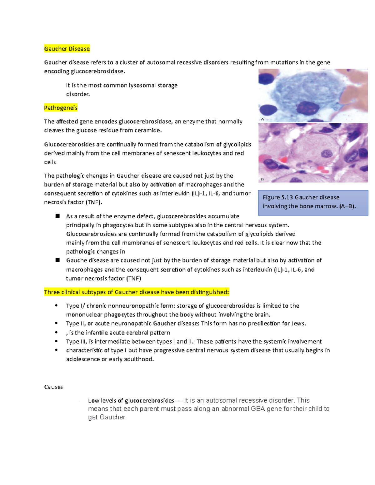 Genetic metabolic disease- report - Gaucher Disease Gaucher disease ...