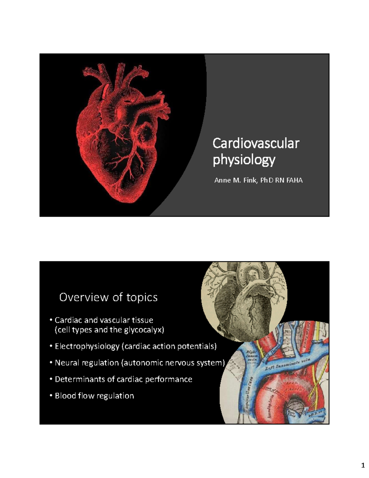 Cardiovascular color 2 slides per page - Cardiovascular physiology Anne ...