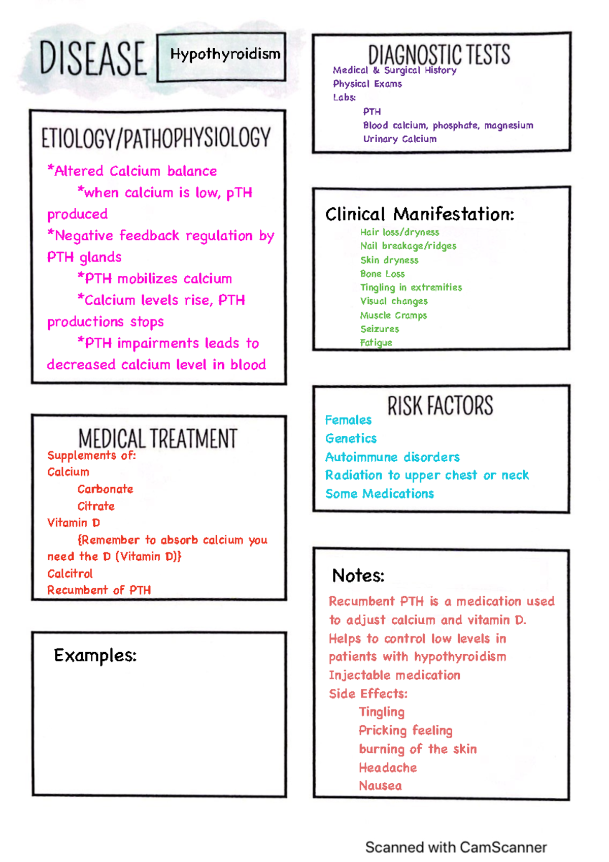 Hypothyroidism Diease Process - Hypothyroidism Notes: Examples ...