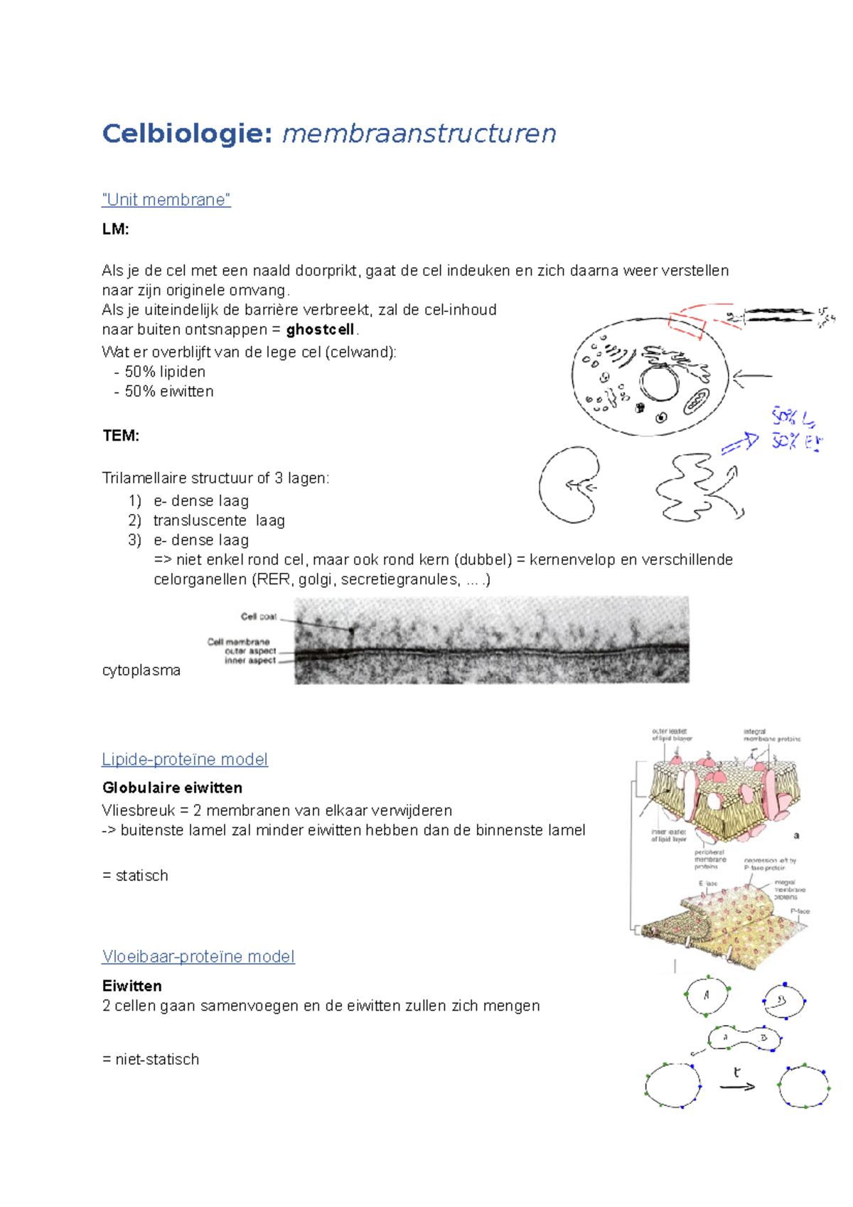 Celbiologie Membraanstructuur - Celbiologie: Membraanstructuren “Unit ...