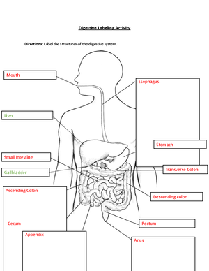 FAST FOOD Activity - AAAAAD - Directions: Select 3 DIFFERENT ...