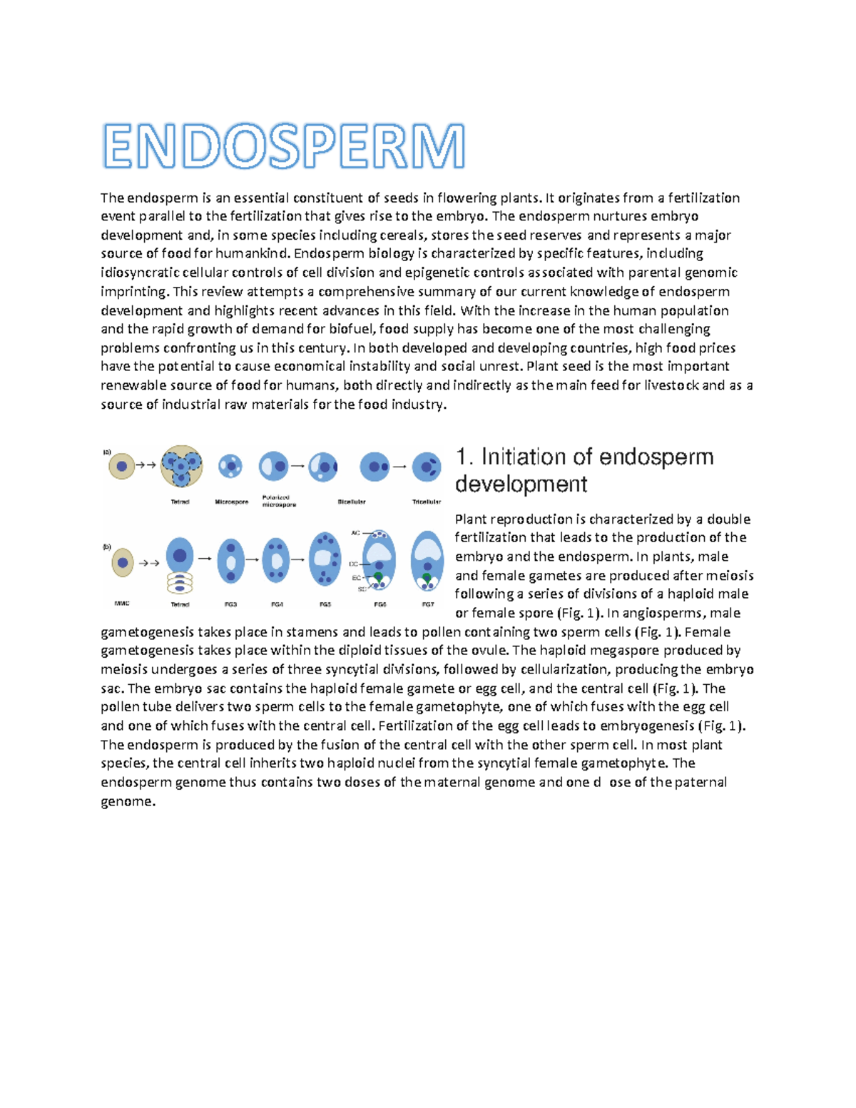 Endosperm The endosperm is an essential constituent of seeds in