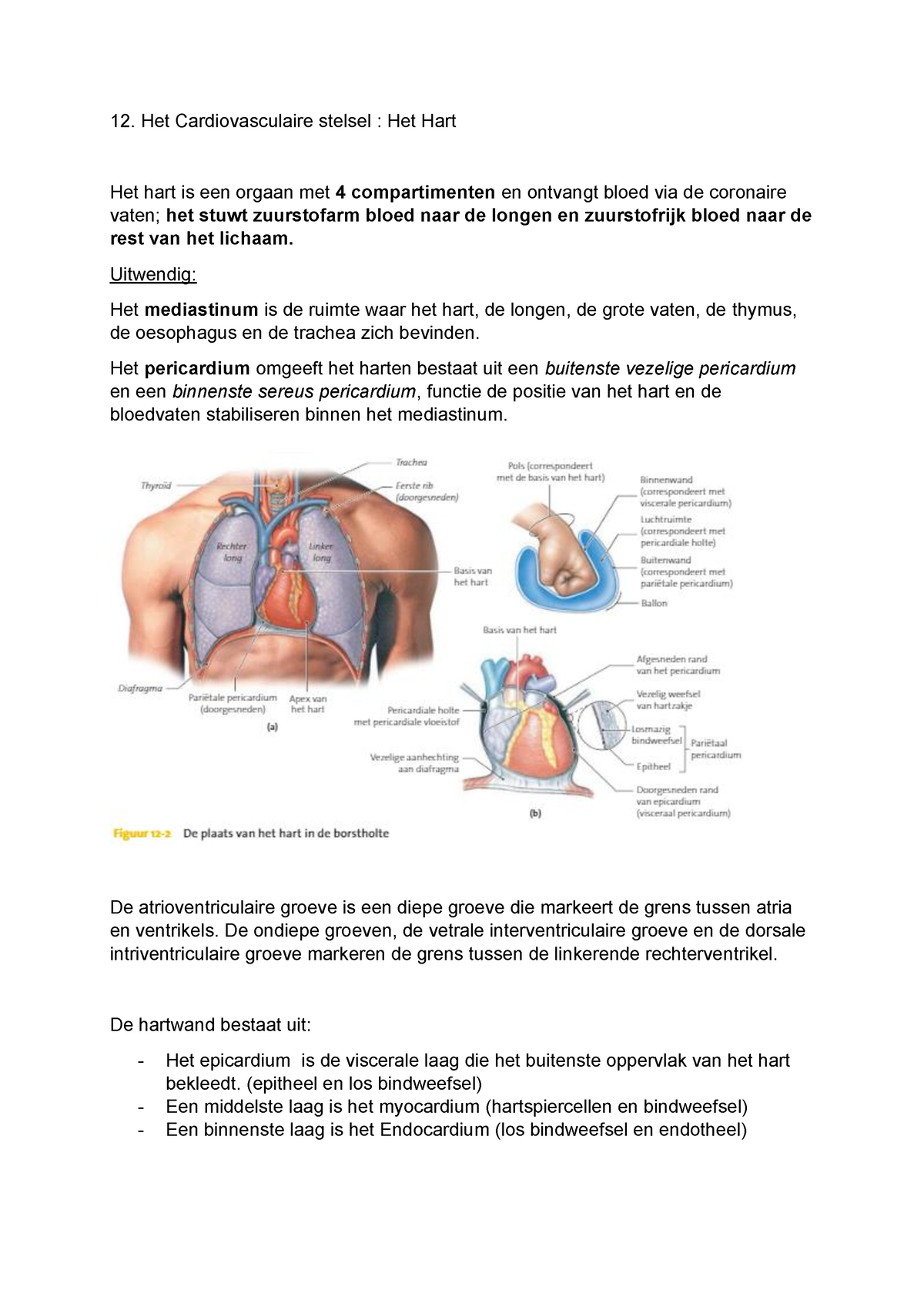 AFP Les 5 Hst 12 En 13 Het Hart En Bloedvaten En Bloedsomloop - Het ...