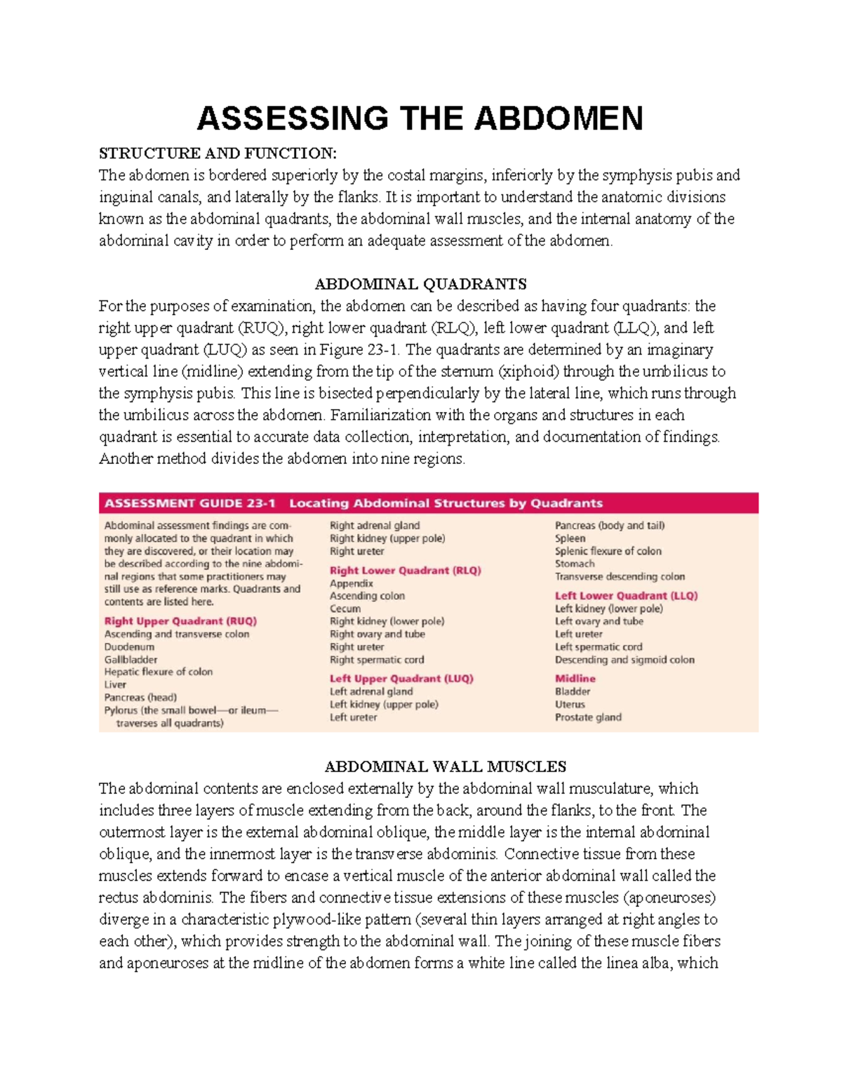 Abdomen - ASSESSING THE ABDOMEN STRUCTURE AND FUNCTION: The abdomen is ...