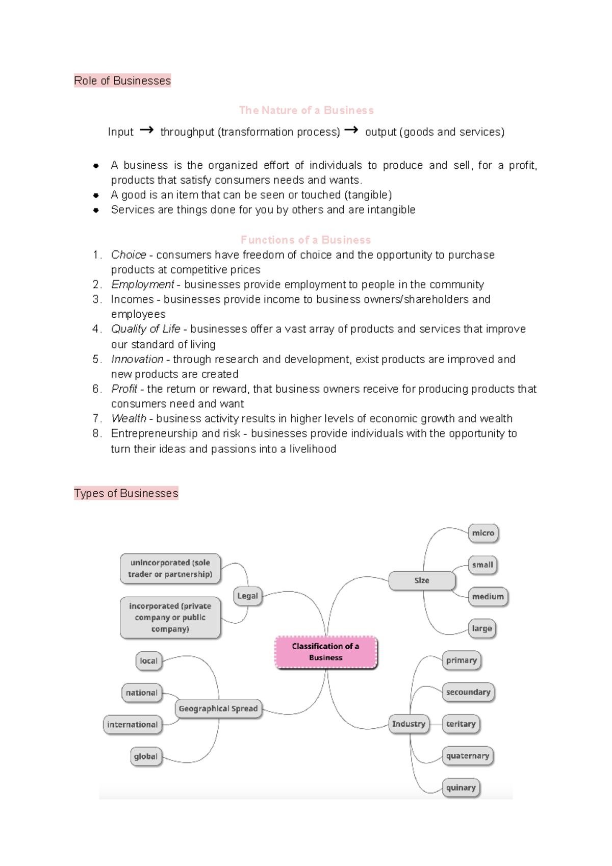 9.1 nature of business notes - Role of Businesses The Nature of a ...