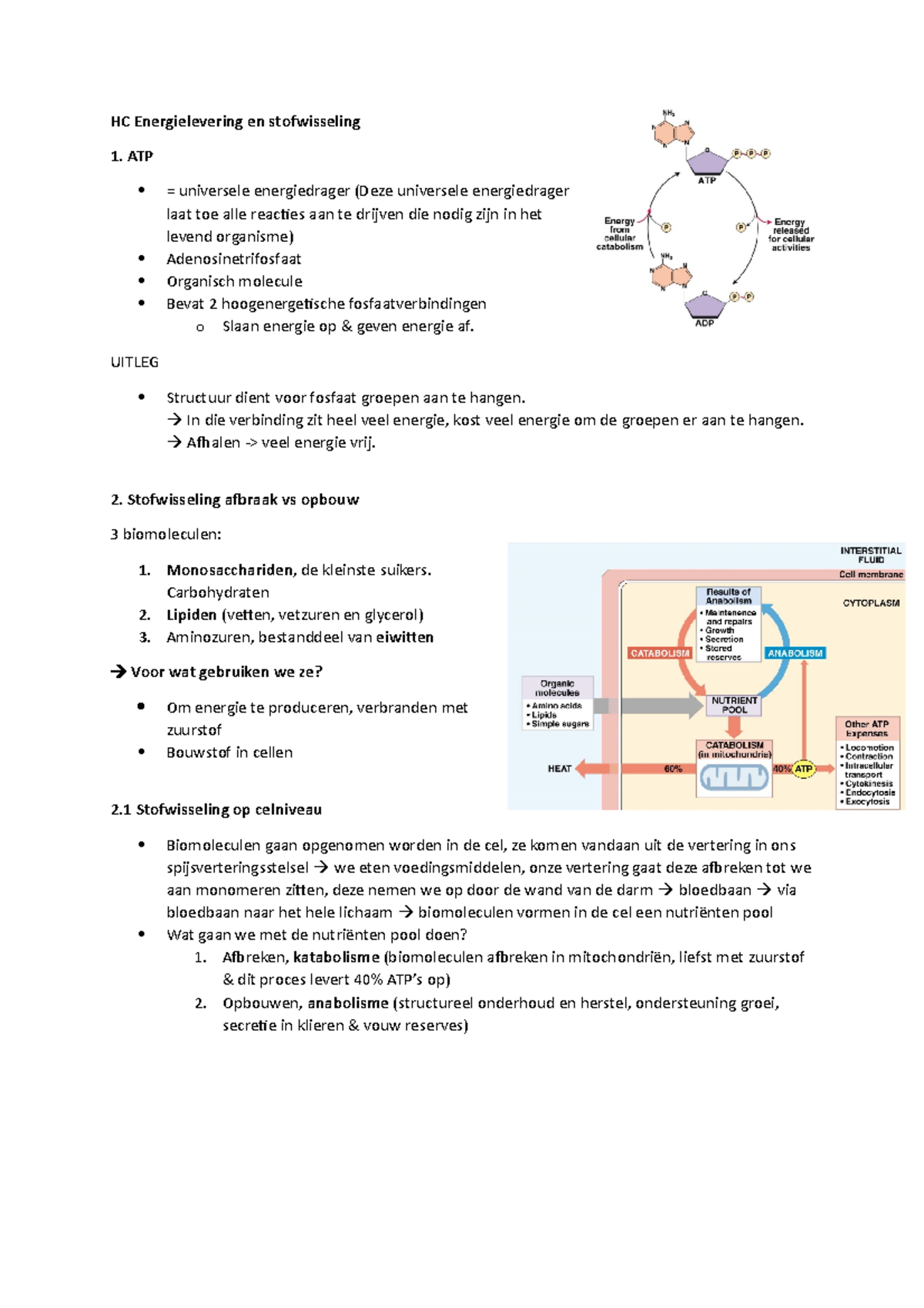 HC Energielevering En Stofwisseling - HC Energielevering En ...