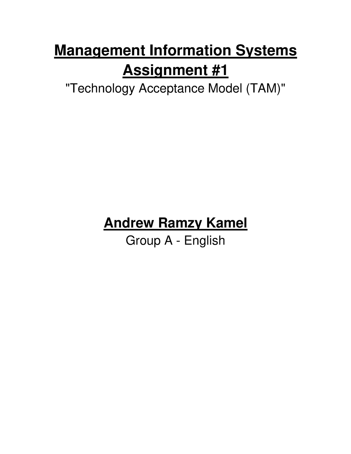 management information system assignment topics