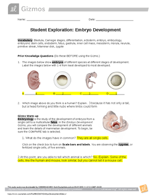 embryo-development-se-answer-key-only-2019-name-date-student-exploration-embryo-development-studocu