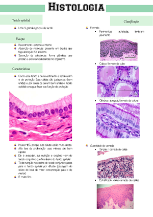 Histologia questões - (UFV) Com relação ao tecido epitelial, analise os ...