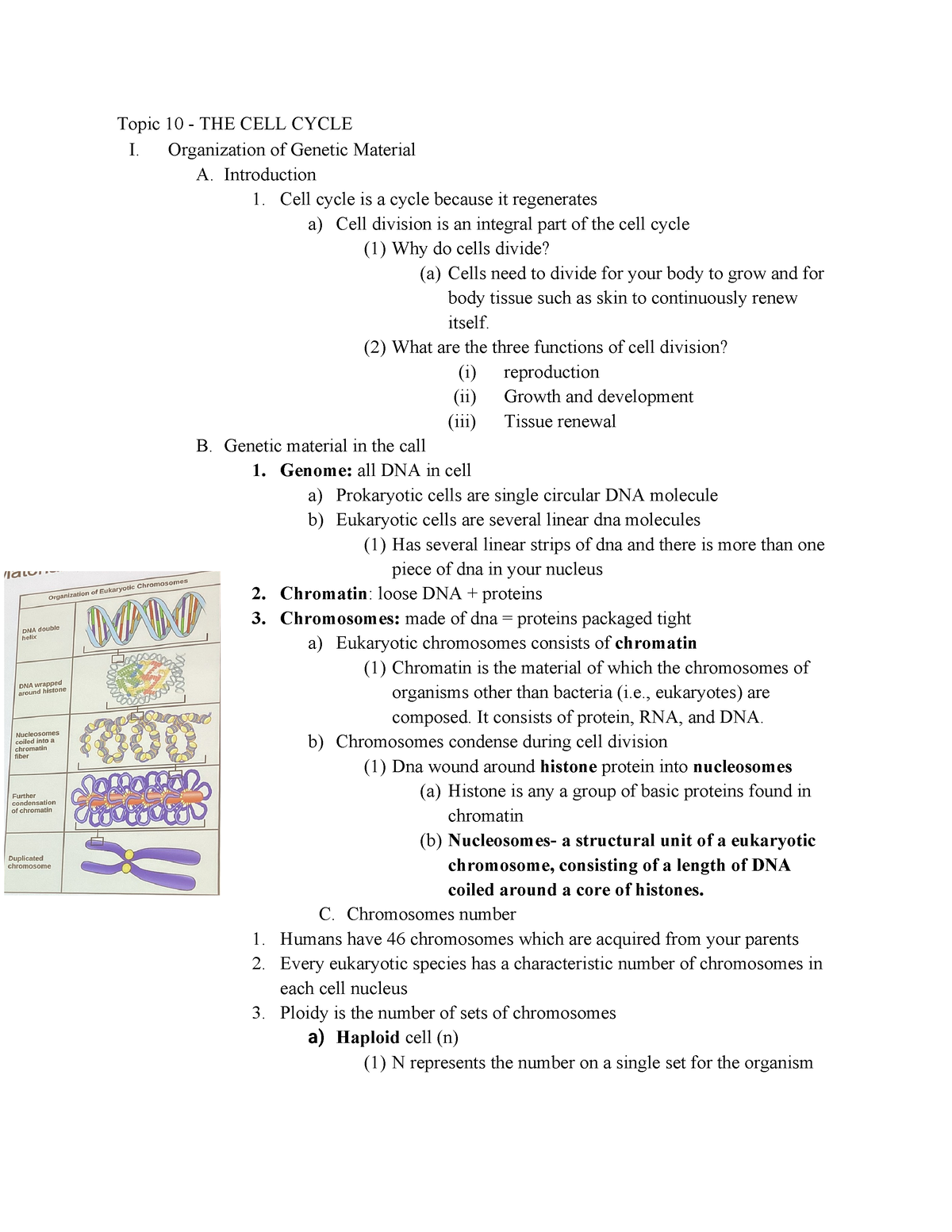 General Biology Exam 2 Notes - Topic 10 - THE CELL CYCLE I ...