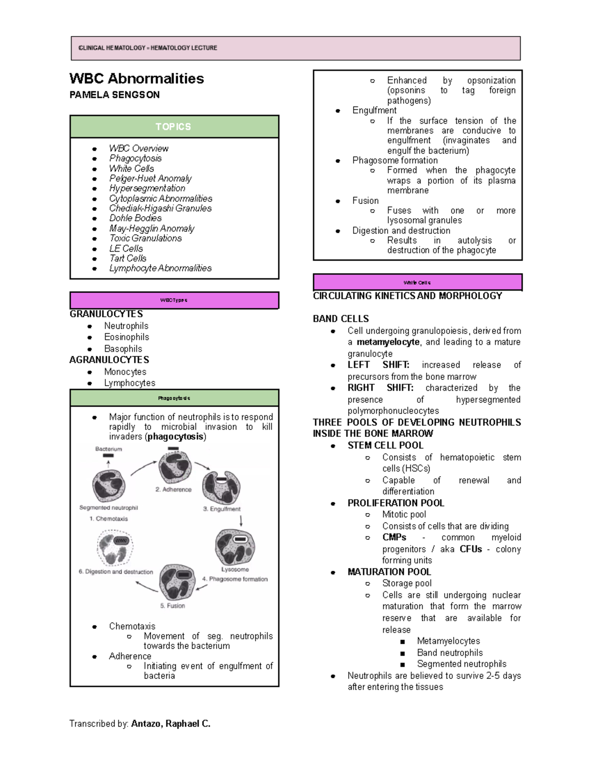 WBC Abnormalities - Summer Class Notes from Hematology 311 Lecture ...
