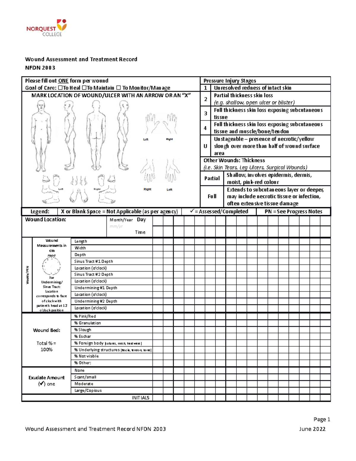 Wound Assessment and Treatment Record - shallow, open ulcer or blister ...