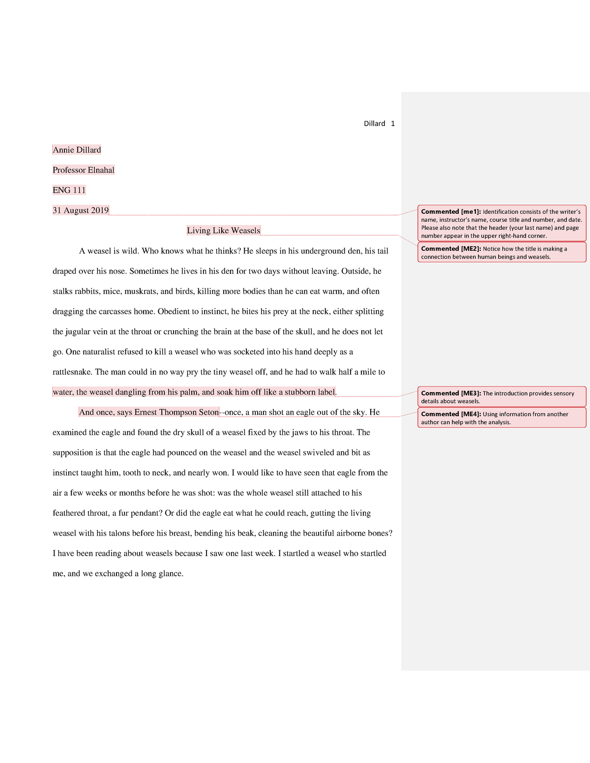 Sample Analysis Essay with Comments - Annie Dillard Professor Elnahal ...