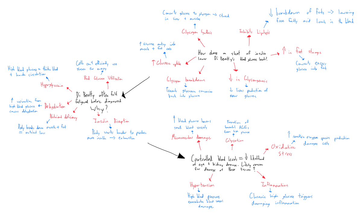 Diabetes Concept map - Converts glucose to glycogen breakdown of fats ...