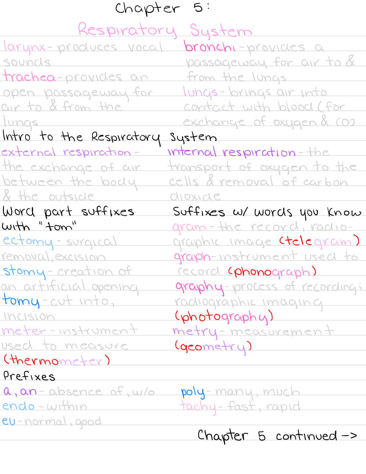 Medical Terminology chapter 5 - Chapter 5 : Respiratory system larynx ...