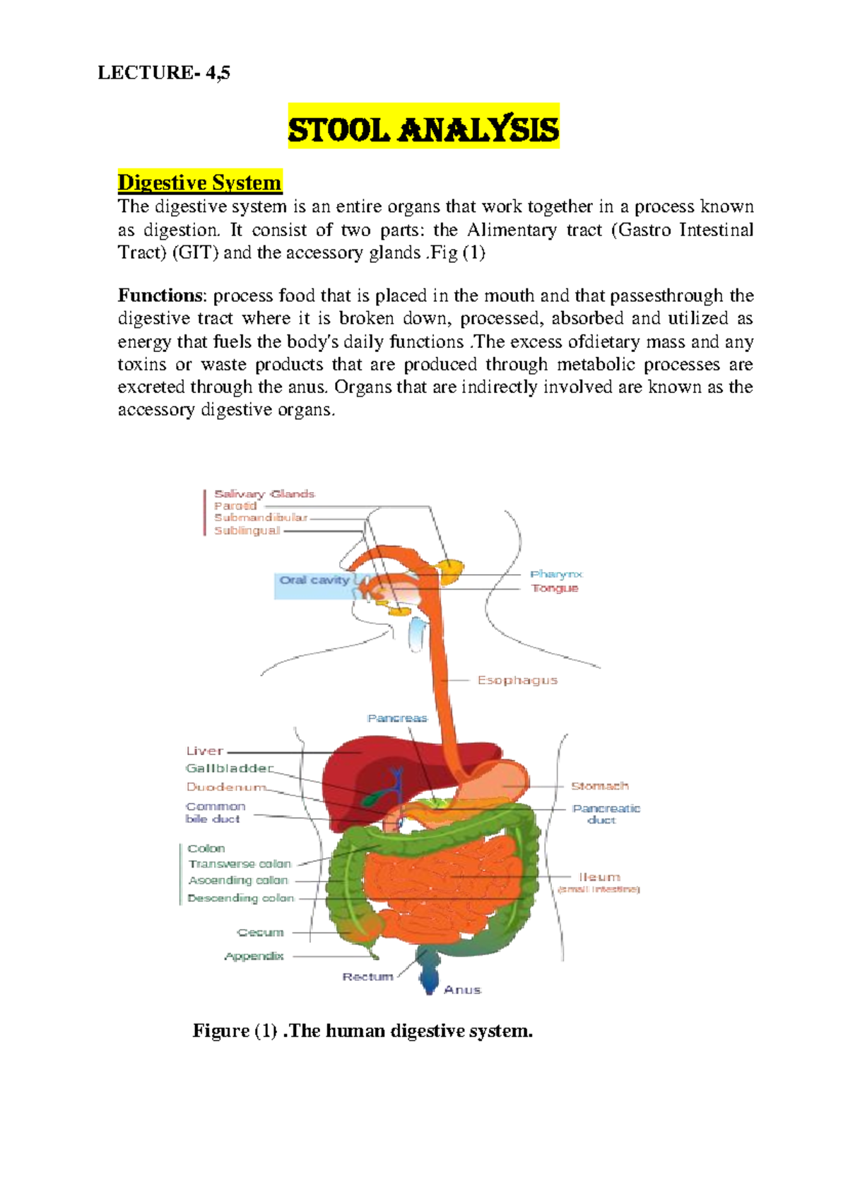 Fecalysis Proper Procedure and Identification of parasites - LECTURE- 4 ...