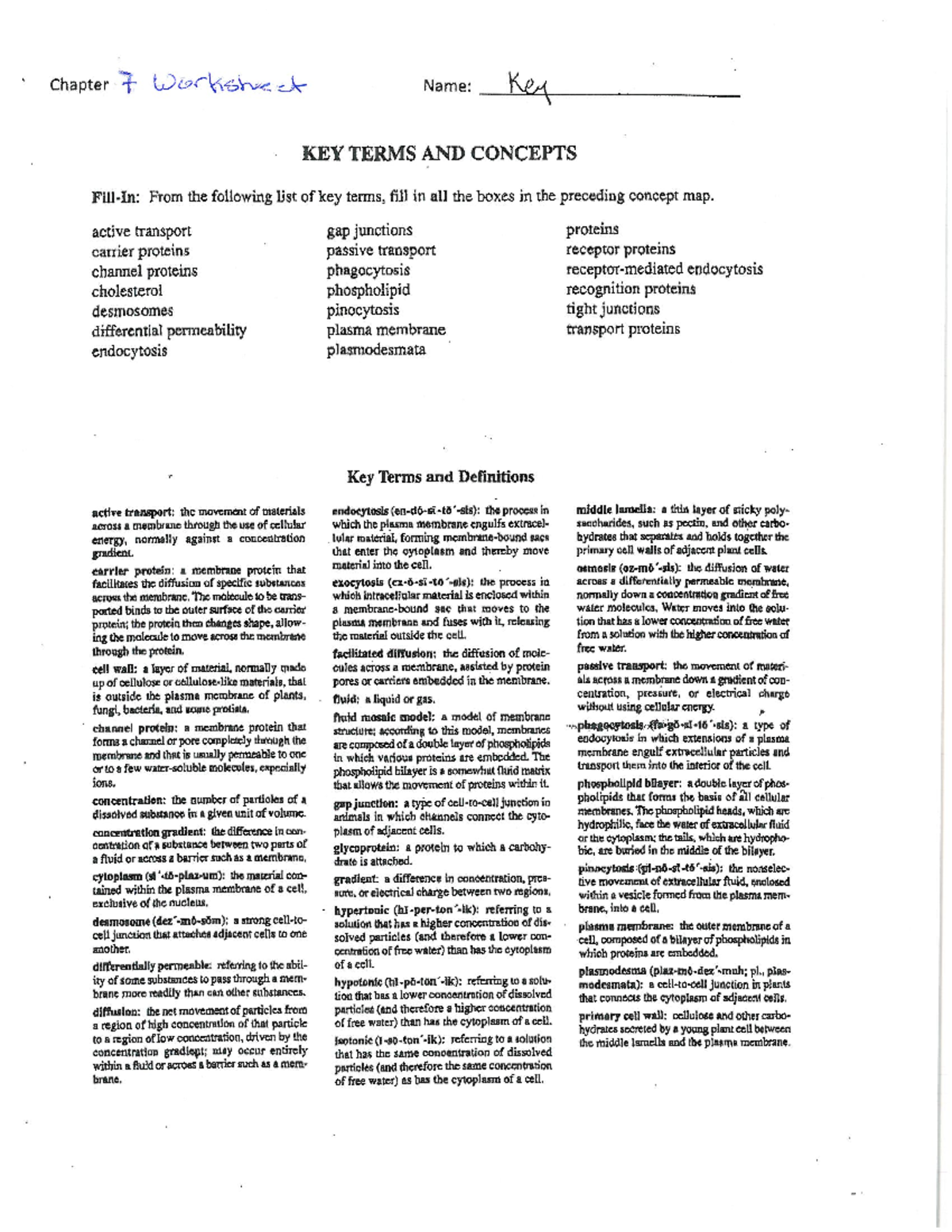Ch. 7 worksheet key - Chapter 7 Worksheet Name: Key KEY TERMS AND ...