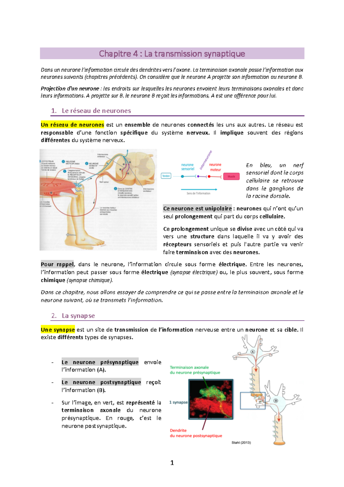 Chapitre 4 - La Transmission Synaptique - Chapitre 4 : La Transmission ...