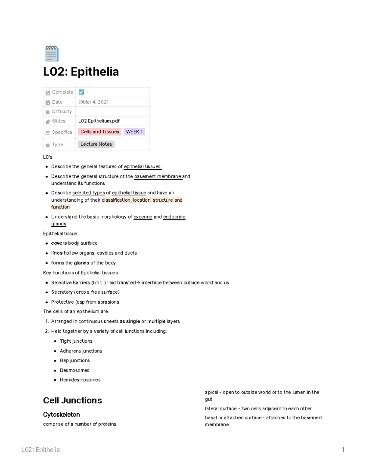 Lecture 2 - Epithelial Tissue (Cells and Tissues) - 🗒 L02: Epithelia ...