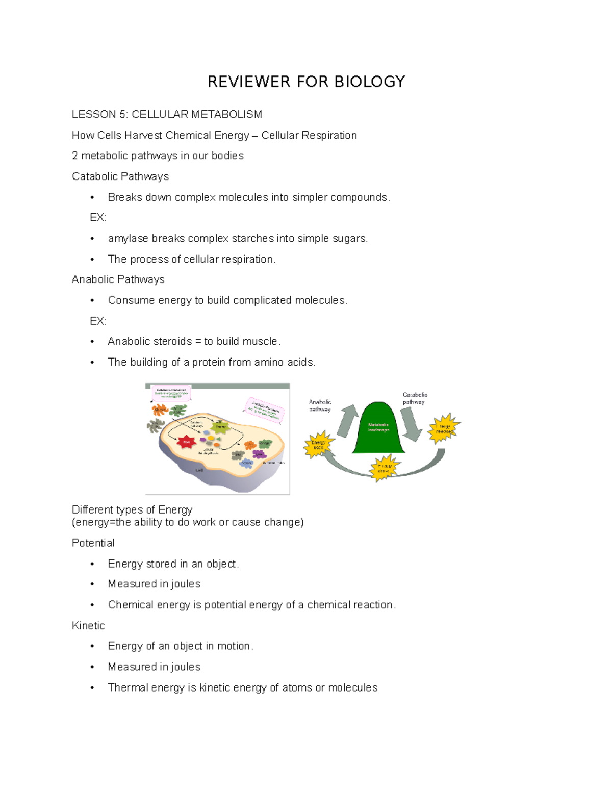 Reviewer FOR Biology 2 - REVIEWER FOR BIOLOGY LESSON 5: CELLULAR ...