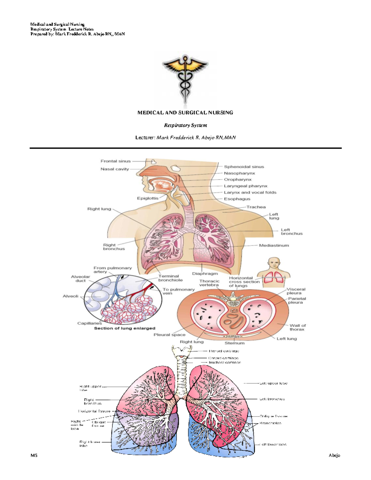 Med Surg Respirstory System - Respiratory System Lecture Notes Prepared ...