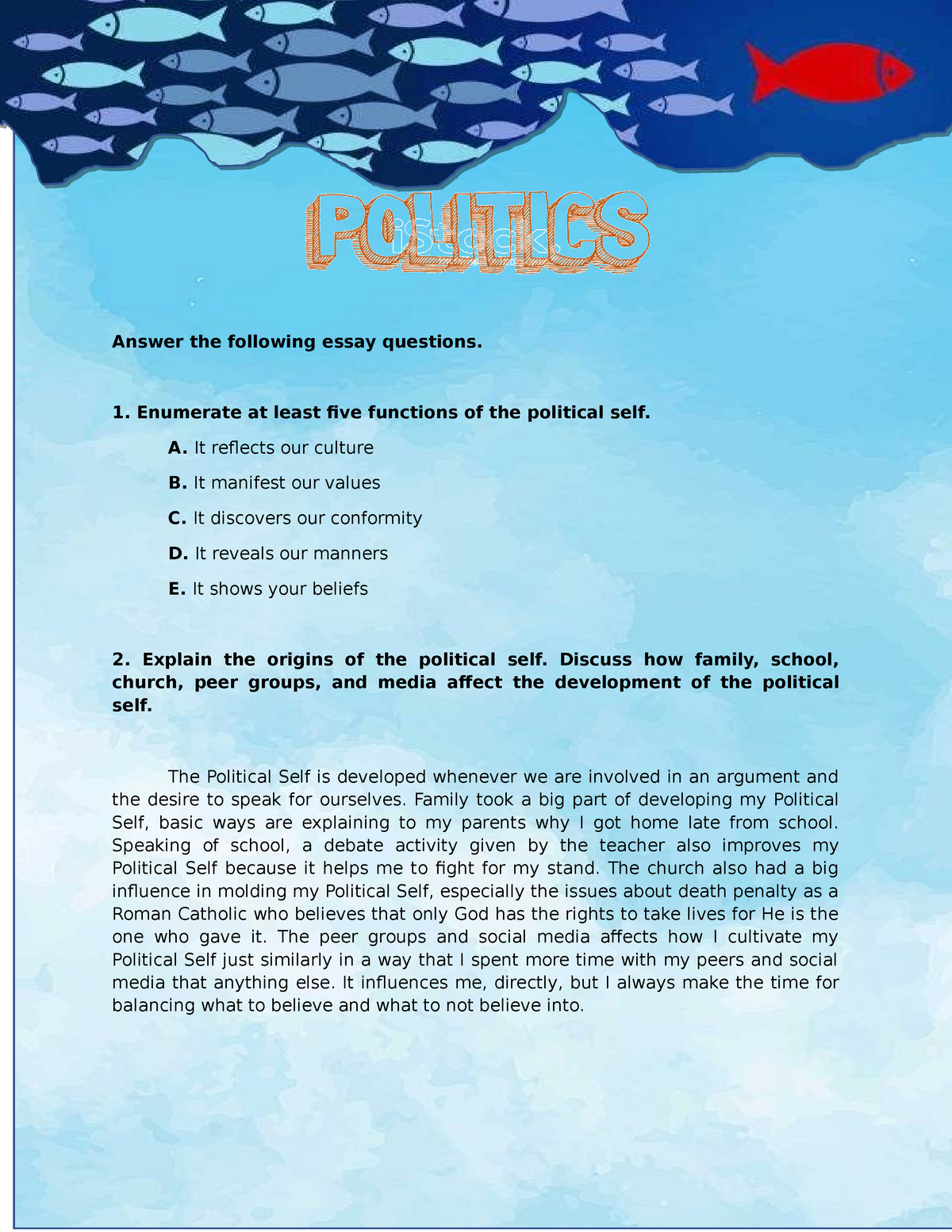 political participation essay question