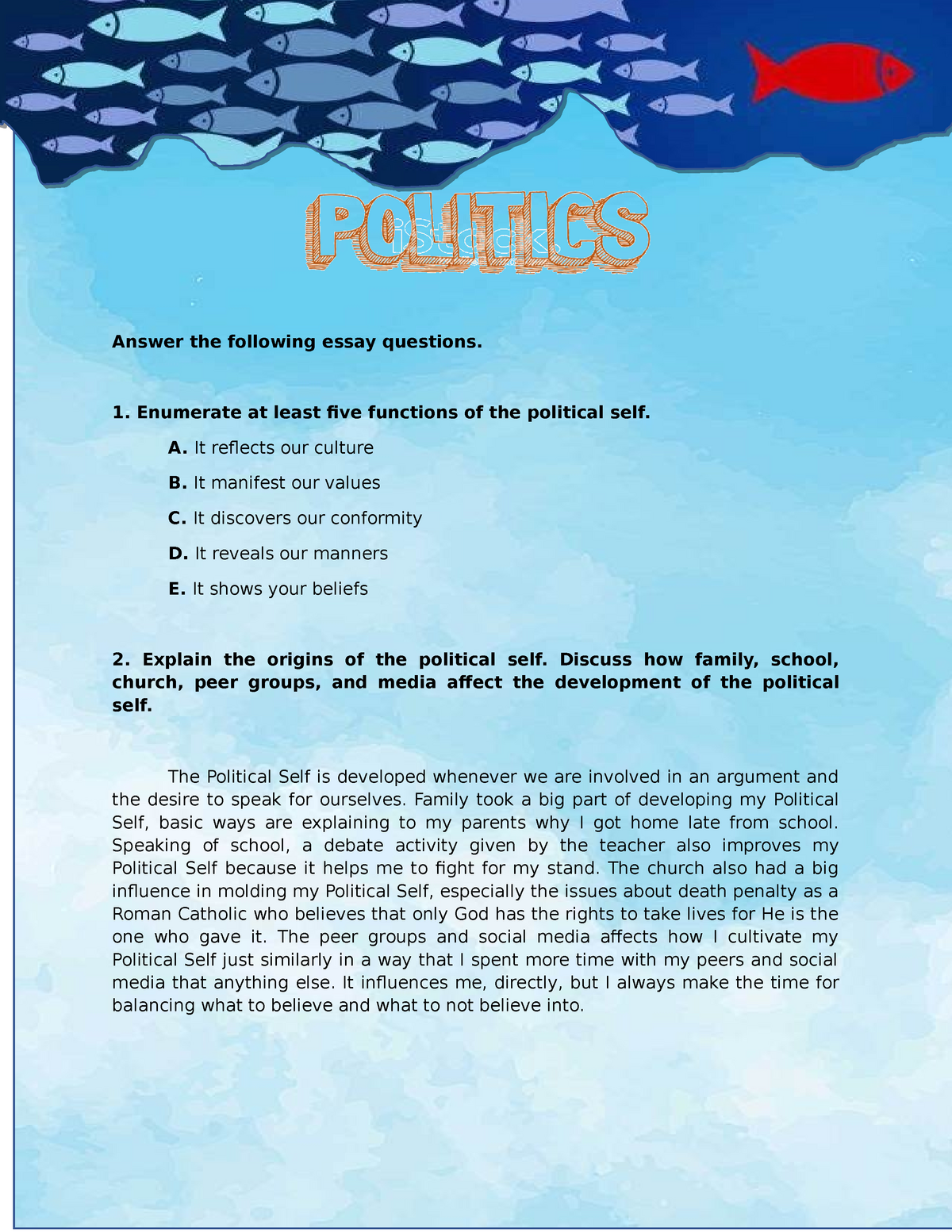 Political SELF Understanding The Self Answer The Following Essay 