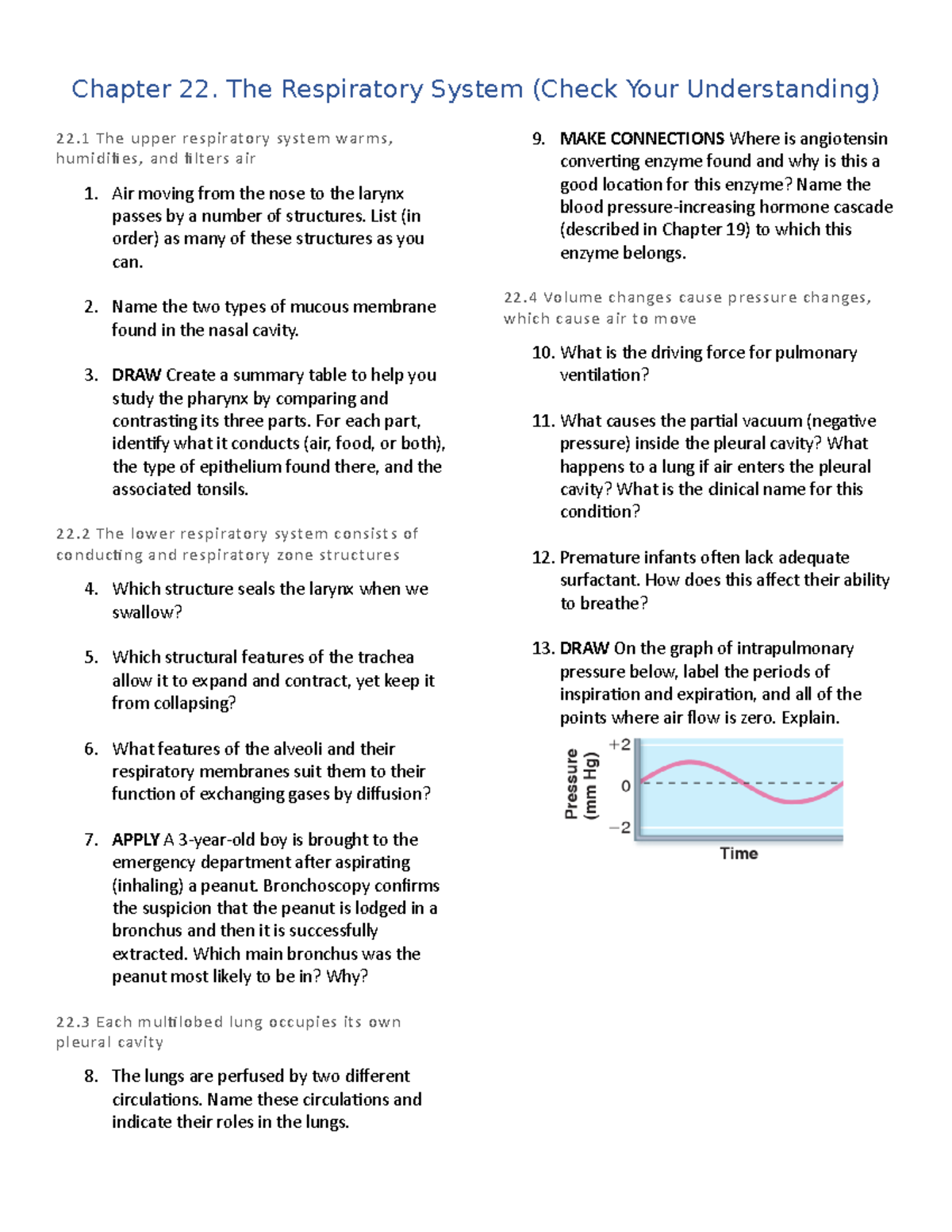 Chapter 22. (Check Your Understanding) - Chapter 22. The Respiratory ...