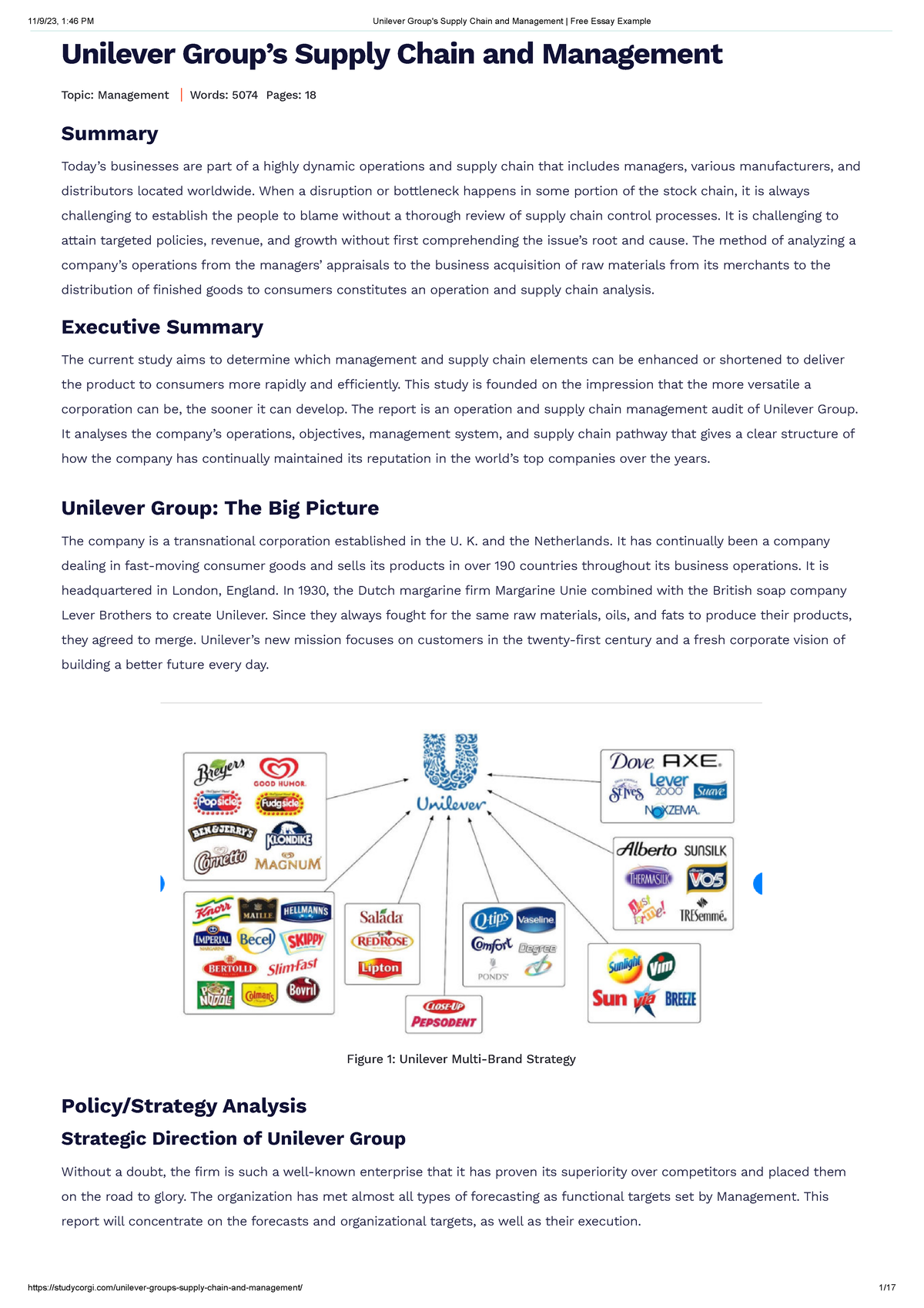 Unilever Group's Supply Chain and Management Free Essay Example