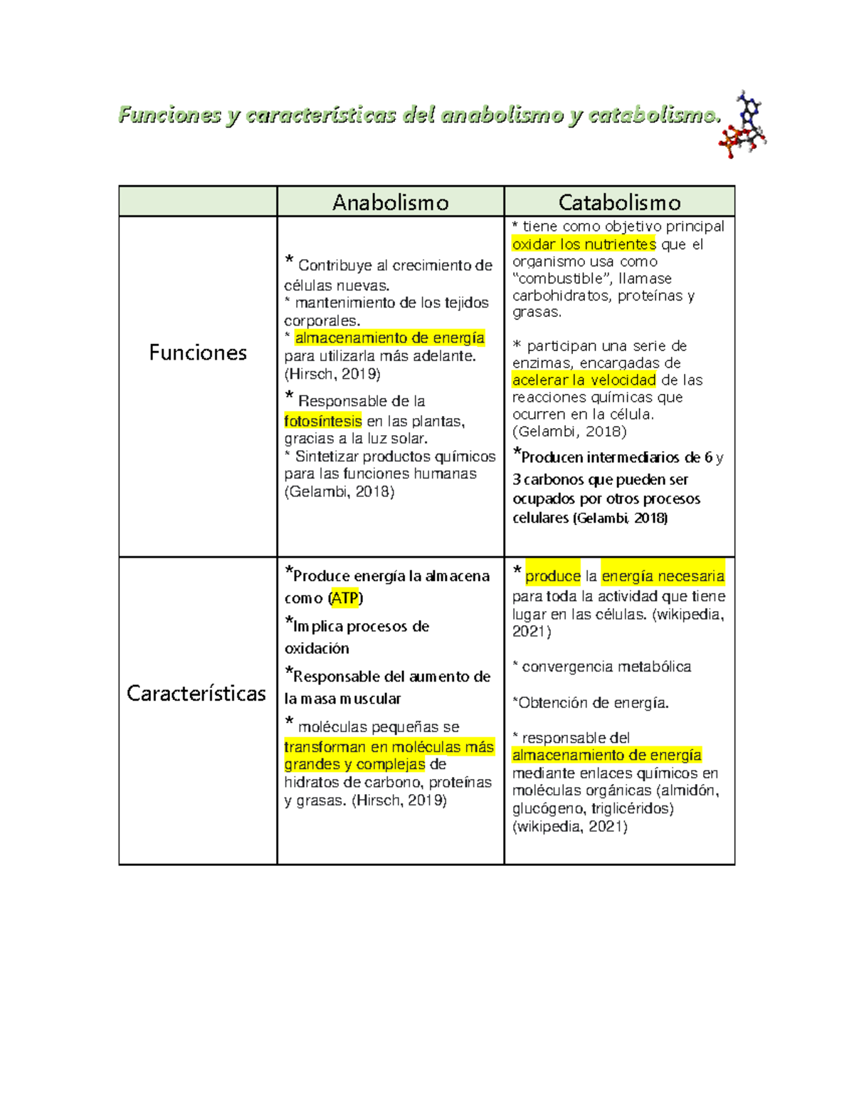 Funciones Y Características Del Anabolismo Y Catabolismo - Anabolismo ...