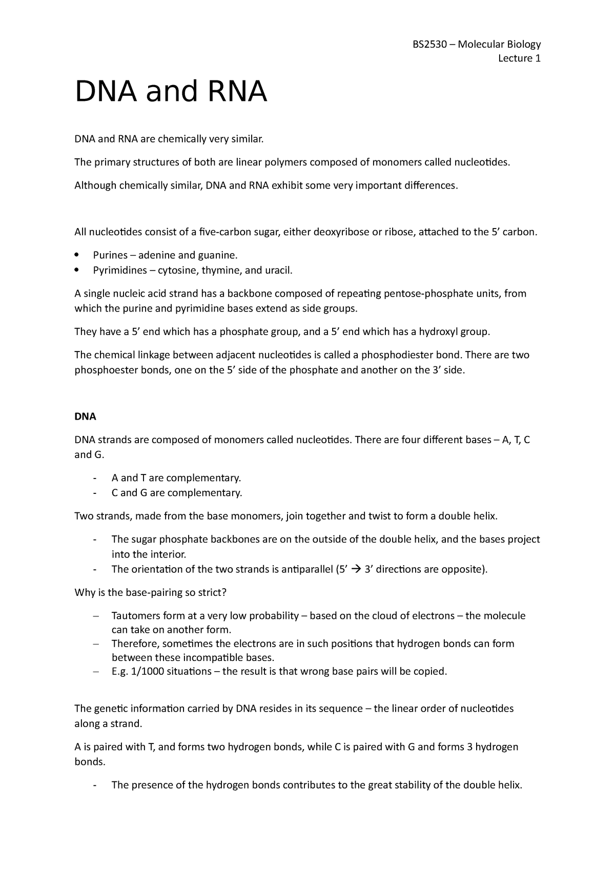 dna and rna essay