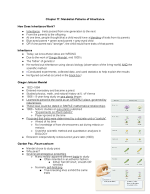 BIO 1200 Chapter 12 Notes - Chapter 12: Gene Expression at the ...