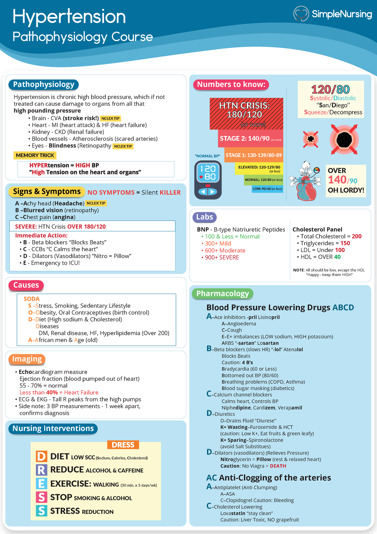 11. HTN - Hypertension - Hypertension Pathophysiology Course Numbers to ...