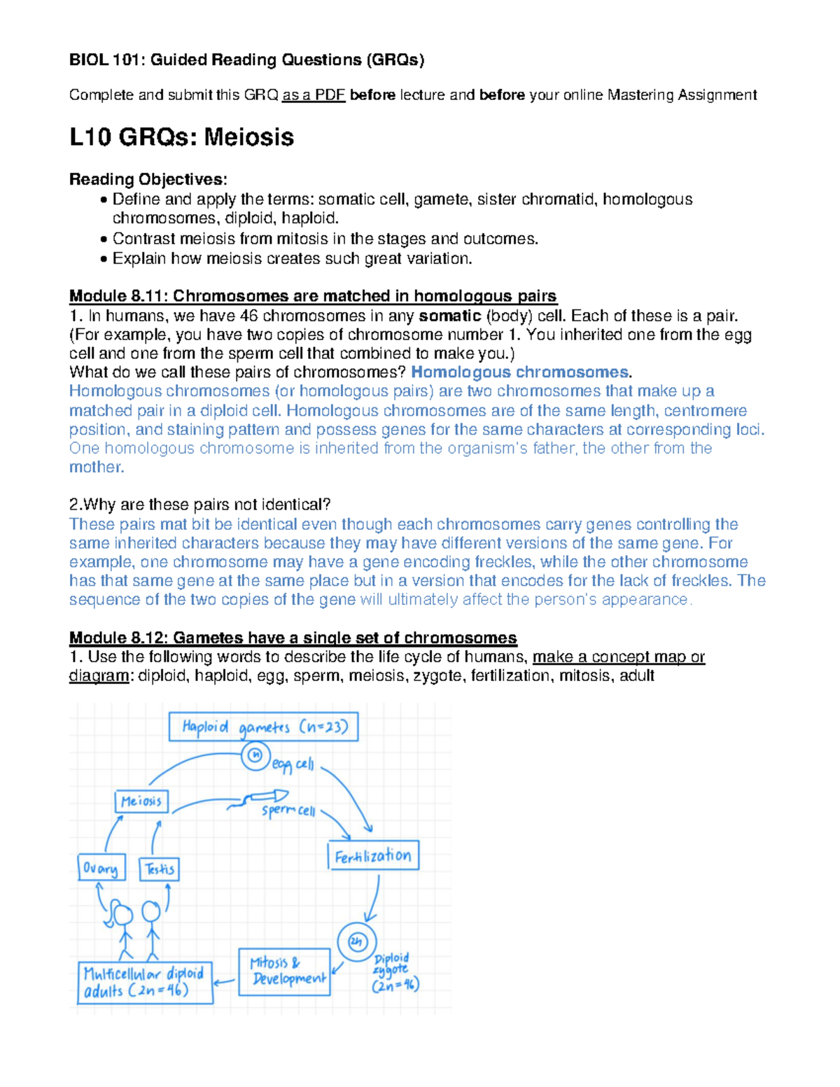 Lesson 10 GRQs Meiosis - dadfsasf - Complete and submit this GRQ as a ...