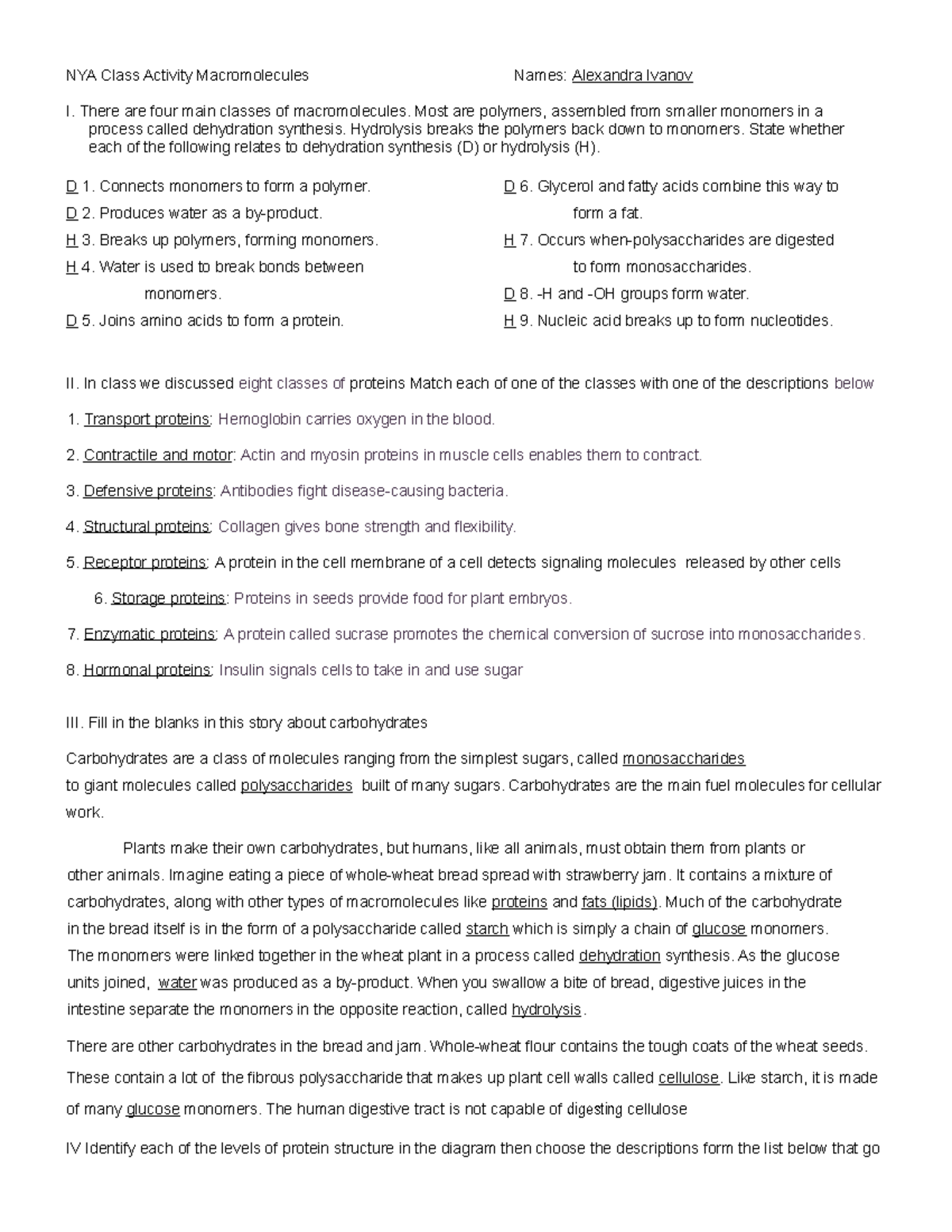 NYA Macromolecules 1 activity - NYA Class Activity Macromolecules Names ...