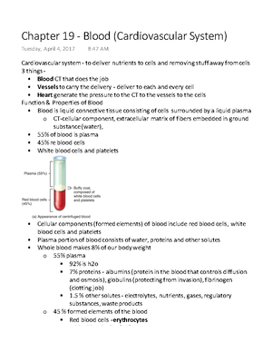 Exam 2 Study Guide - ANAT 103 - Studocu