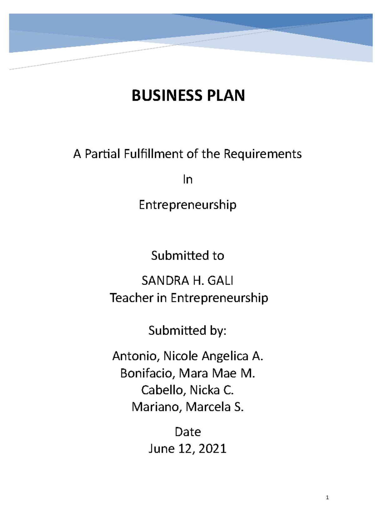 a business plan is a partial document