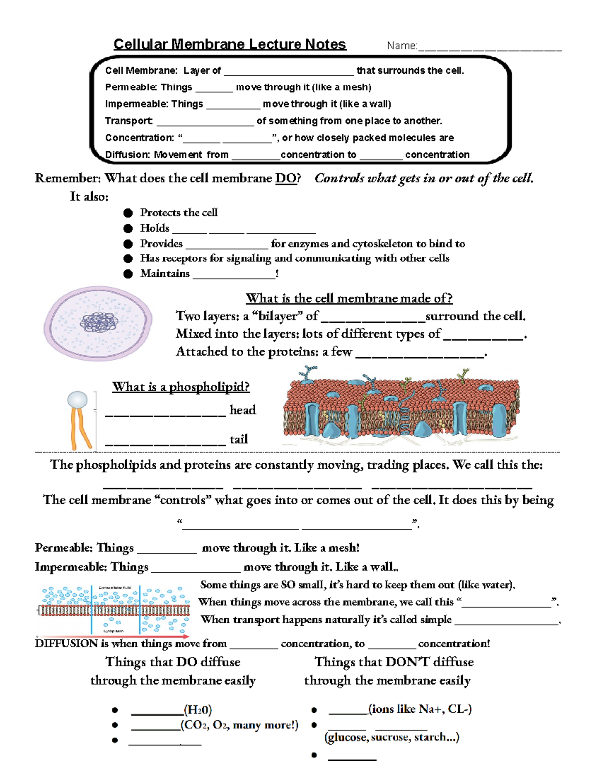 09 12 - Cell Membranes Guided Notes - Cellular Membrane Lecture Notes ...