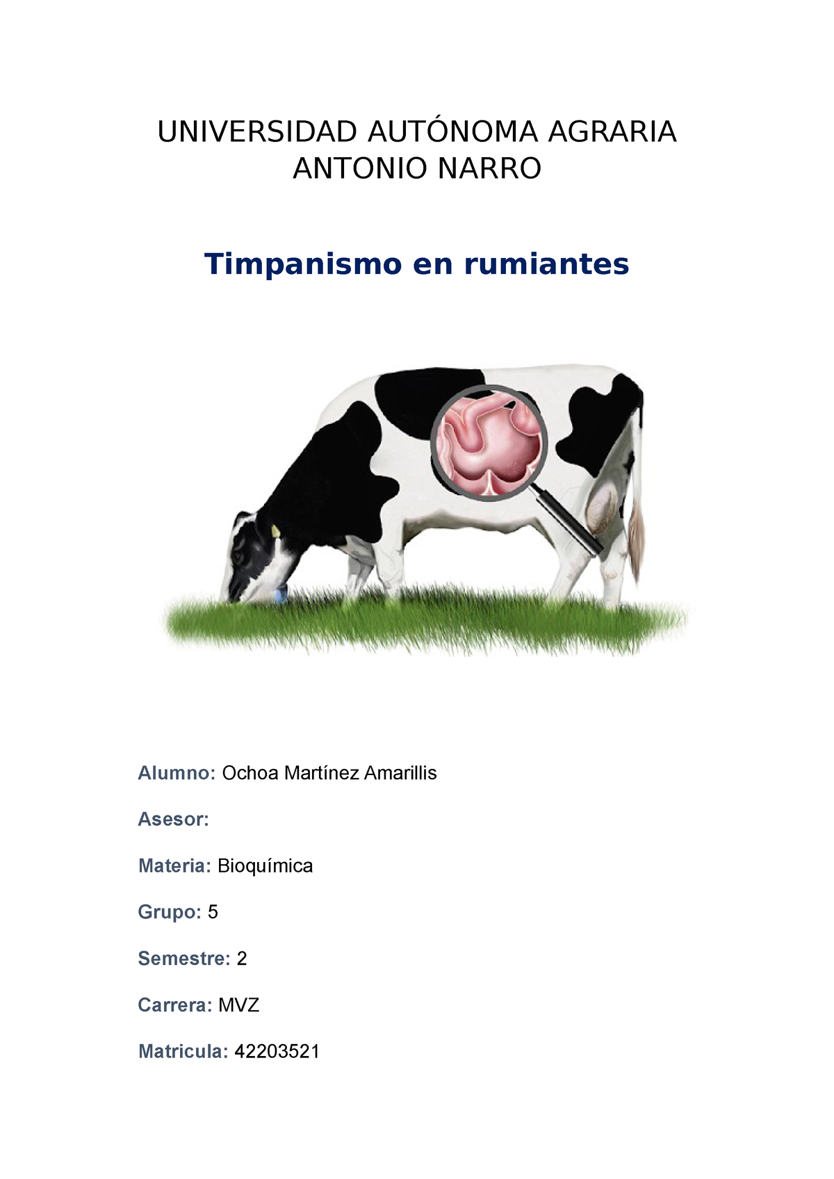 Timpanismo en rumiantes UNIVERSIDAD AUTÓNOMA AGRARIA ANTONIO NARRO