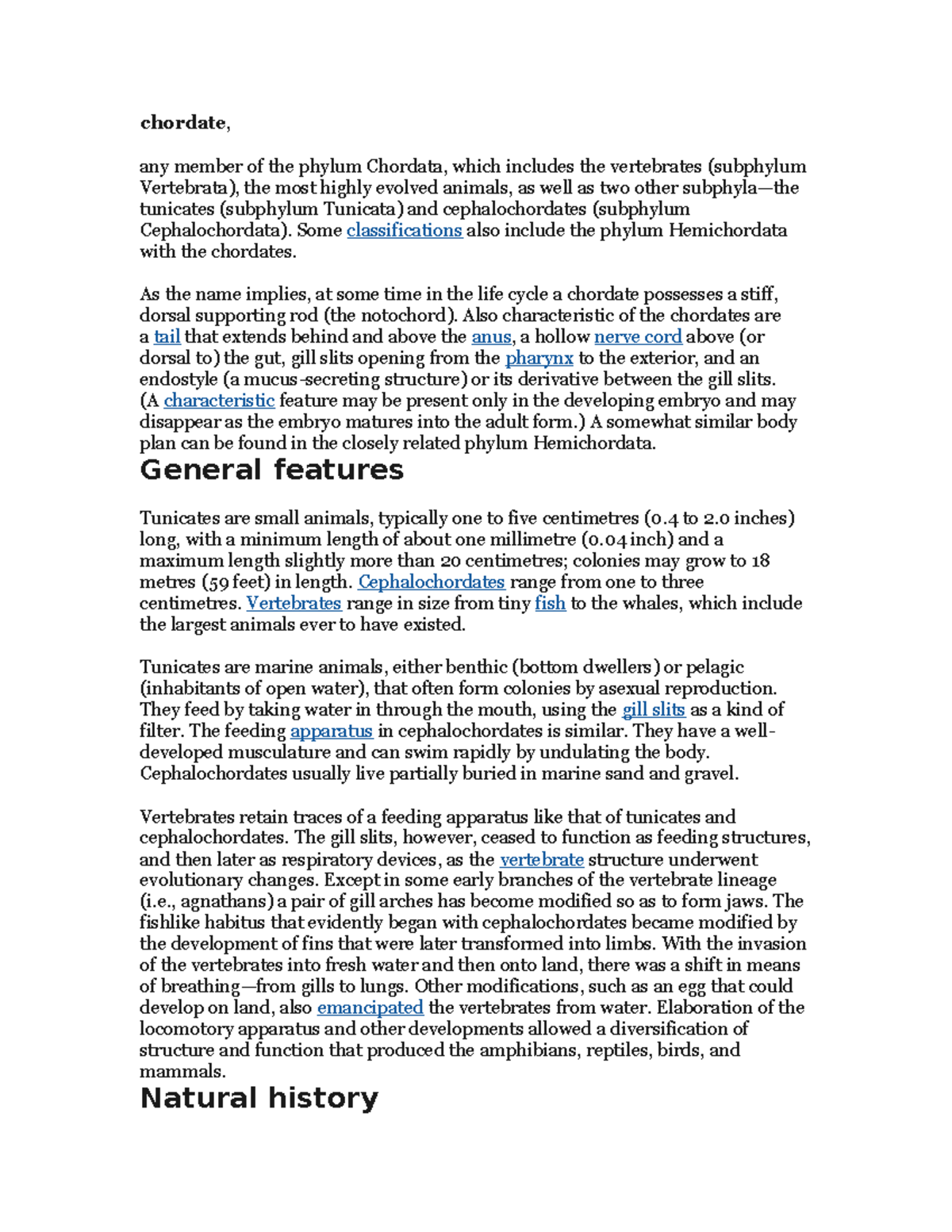 Chordate visual data 5